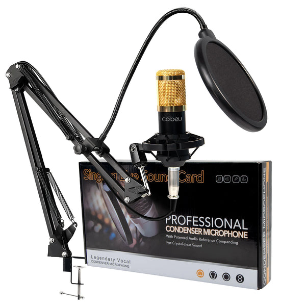 Kit de Microfone Profissional com Acessórios Completos